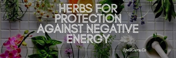 Herbs for Protection Against Negative Energy