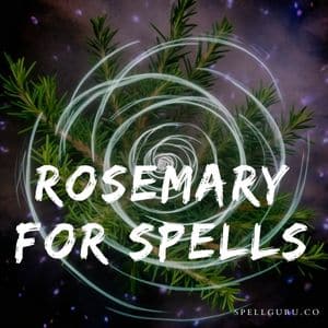 Rosemary for Spells