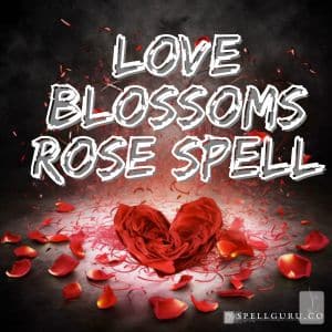 Love Blossoms Rose Spell
